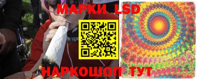 герыч Моздок