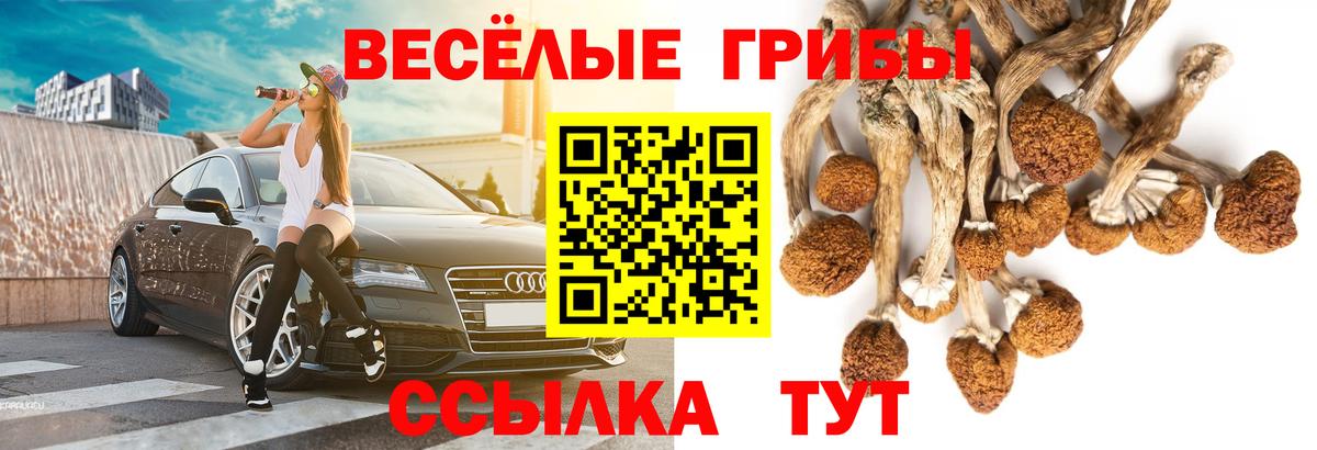 Галлюциногенные грибы ЛСД Чистополь